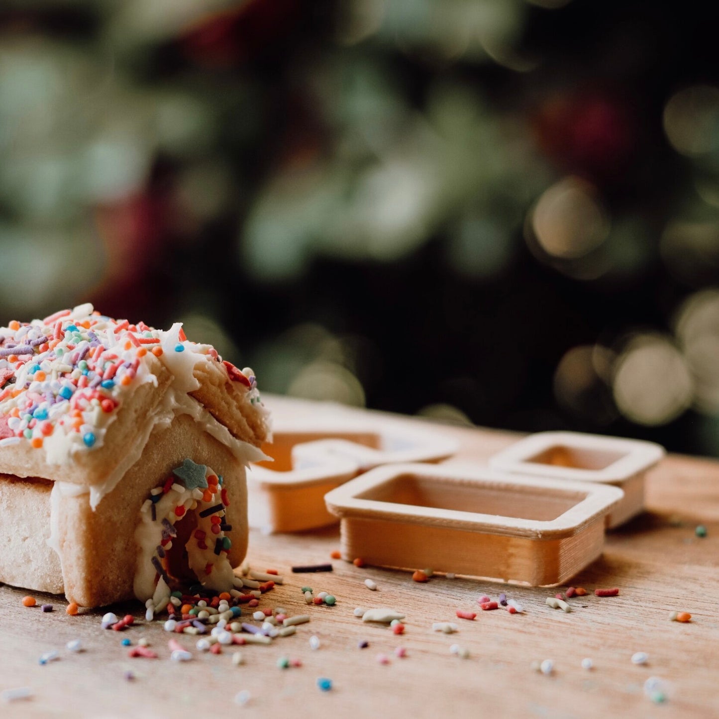 Mini Gingerbread House Eco Cutter Set