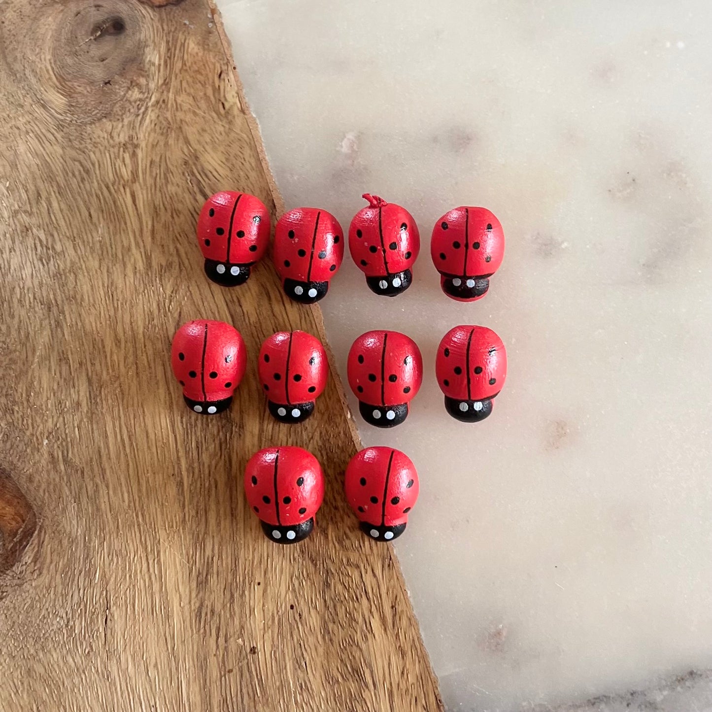 Wooden mini insects